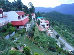 Blue Pine Resort